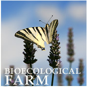 Bioecological Farm