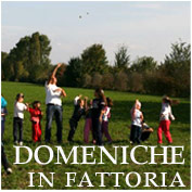 Fattoria didattica