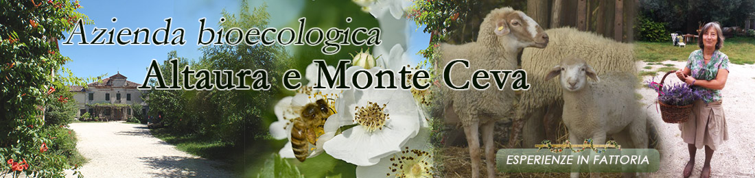 Agriturismo BioEcologico "Il Filo d'Erba" Altaura e Monte Ceva - Padova - Veneto - Italia