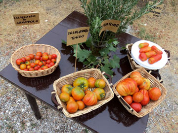 Verdure in Fattoria Il Filo d'Erba